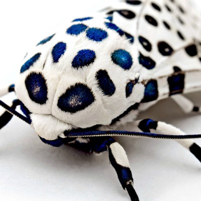 1920 x 1080 HD Wallpapers 1282